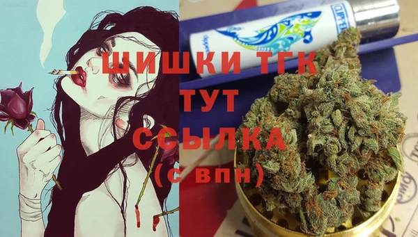 гидра Алексеевка