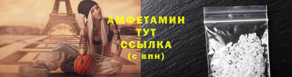 прущие грибы Алагир