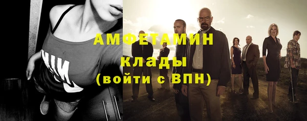 гидра Алексеевка