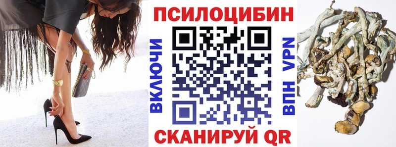 Галлюциногенные грибы Cubensis  даркнет сайт  Красноуральск 